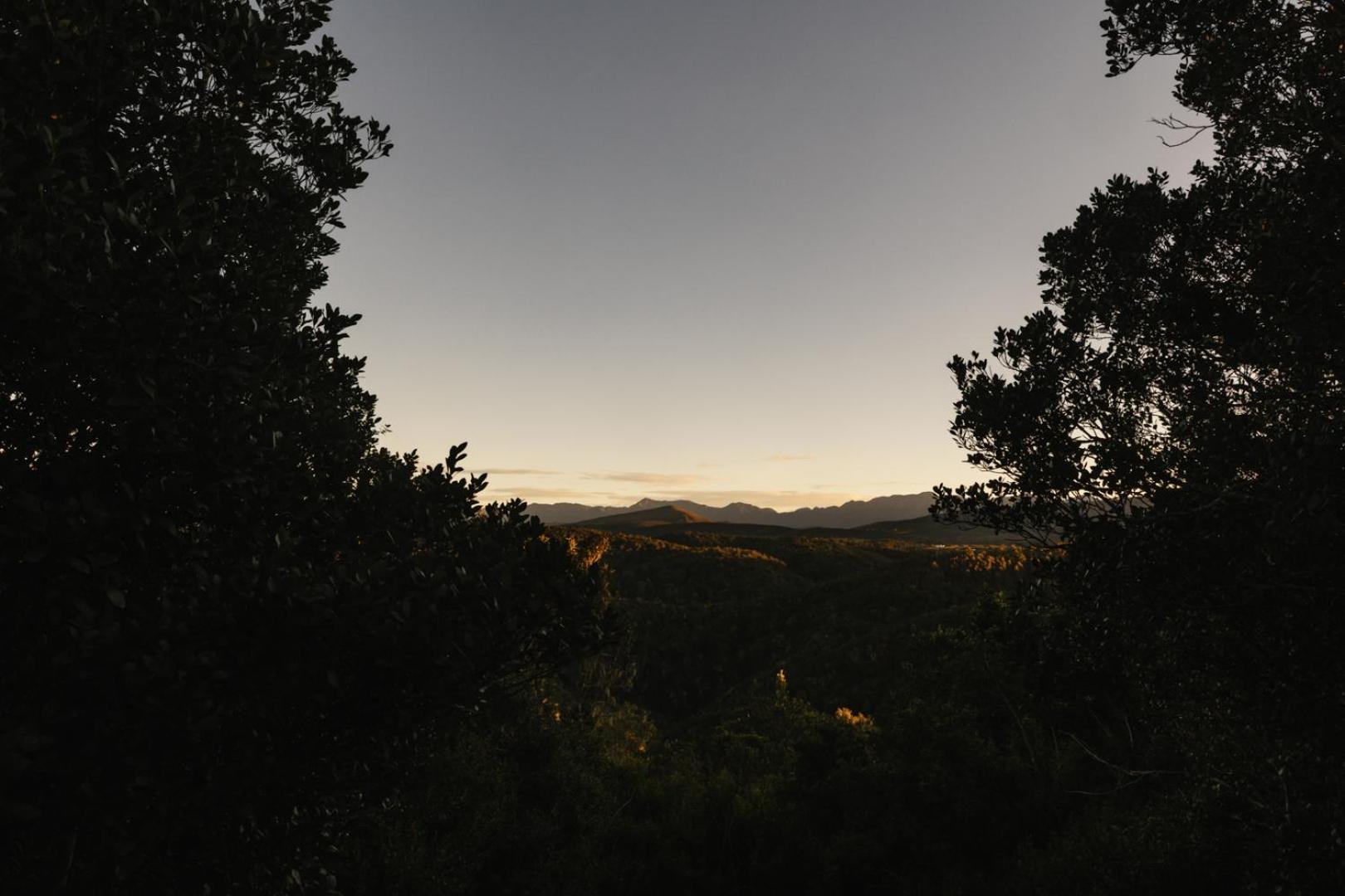 Moonshine On Whiskey Creek Villa The Crags Exterior photo